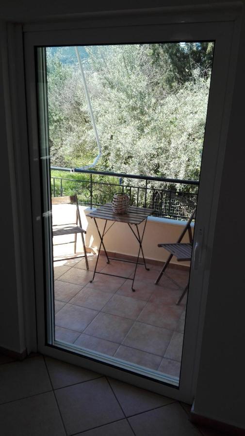 Olivo Nydri Apartment Bagian luar foto