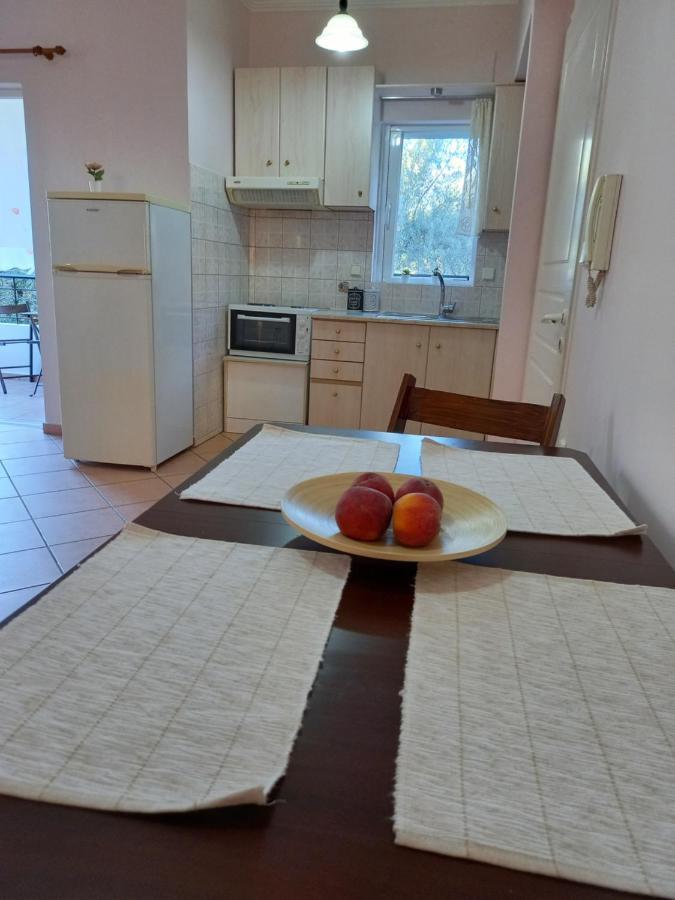 Olivo Nydri Apartment Bagian luar foto