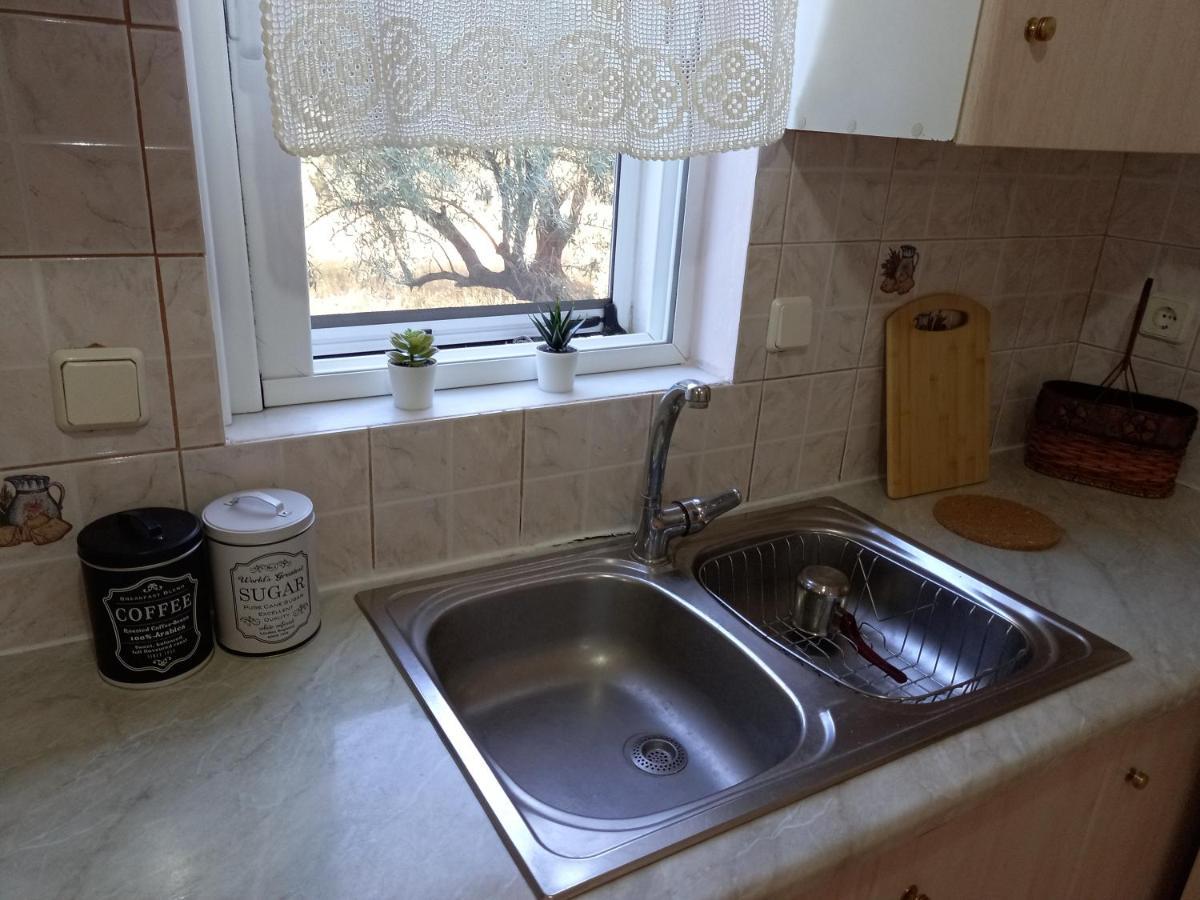 Olivo Nydri Apartment Bagian luar foto