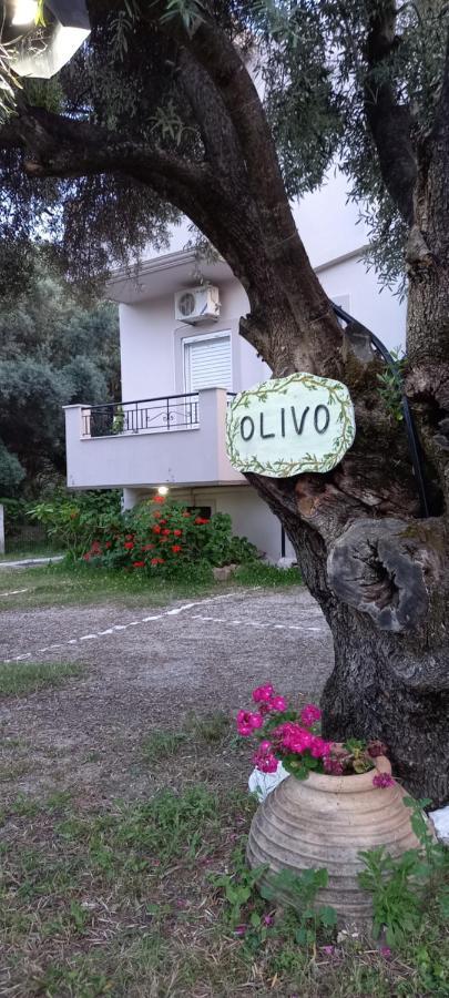 Olivo Nydri Apartment Bagian luar foto