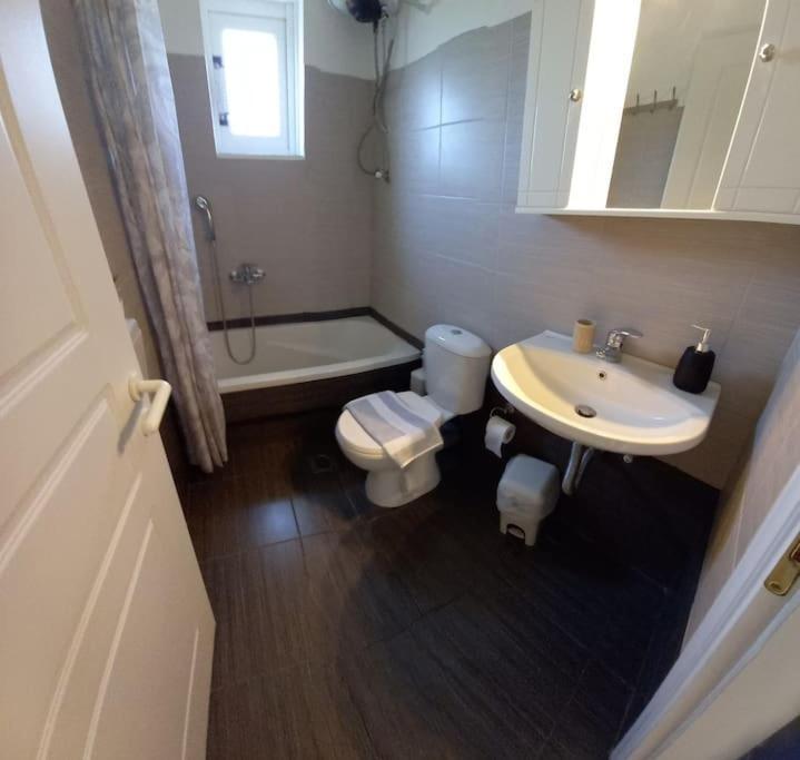 Olivo Nydri Apartment Bagian luar foto