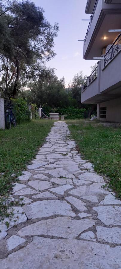 Olivo Nydri Apartment Bagian luar foto